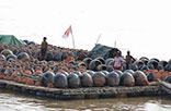 Irrawaddy Princess (14 Days - 13 Nights)