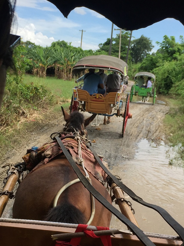 A fascinating horse cart to the ancient ruins of Inwa